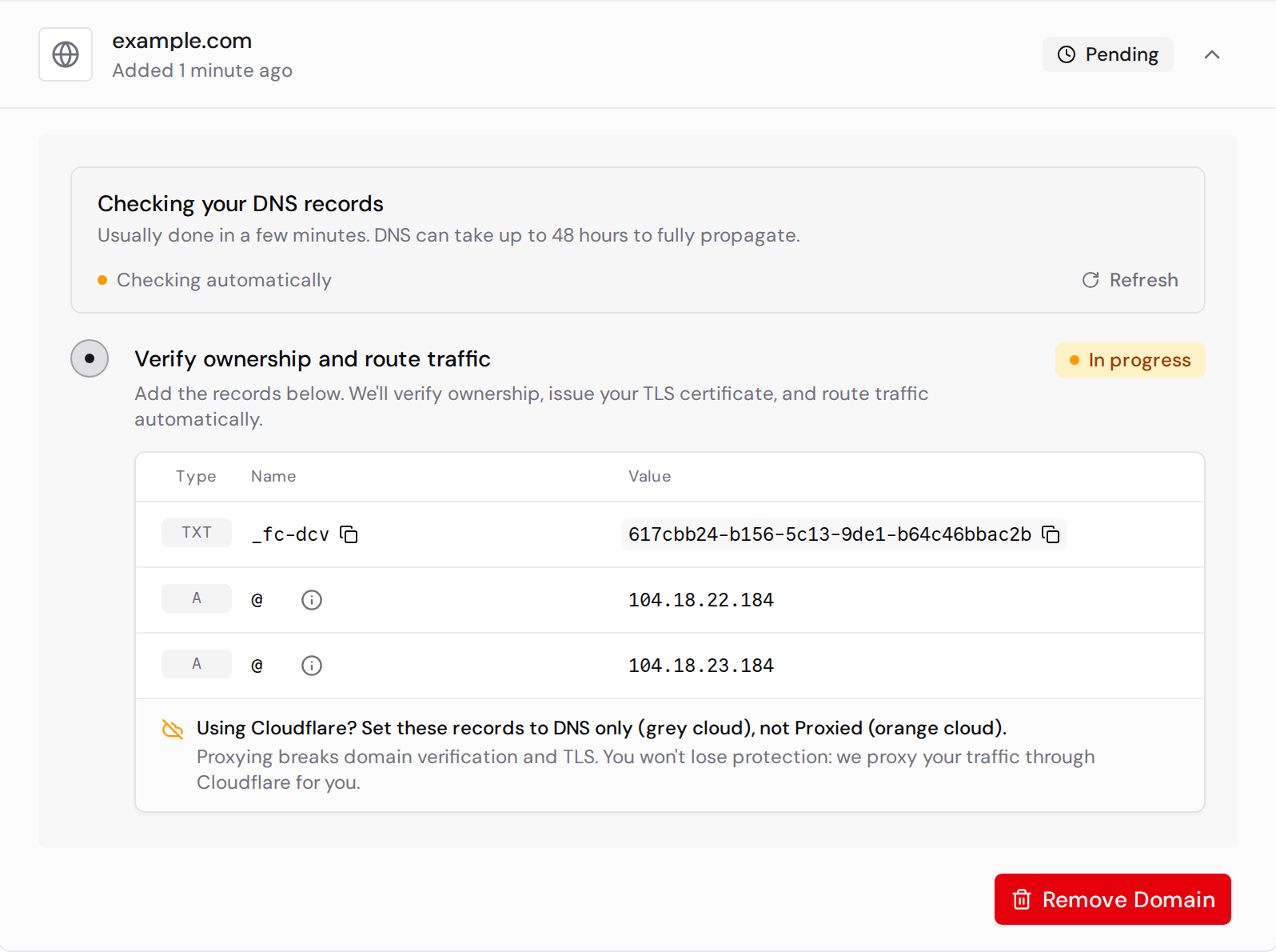 Pending custom domain with TXT and A records, copy controls, and automatic DNS verification in progress